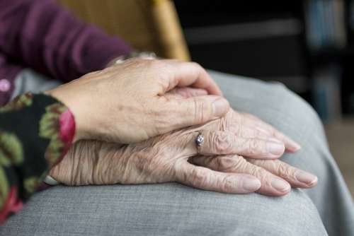Hands Old Old Age Elderly Vulnerable Care