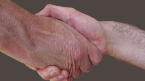 Handshake Male Partnership Deal Business Welcome
