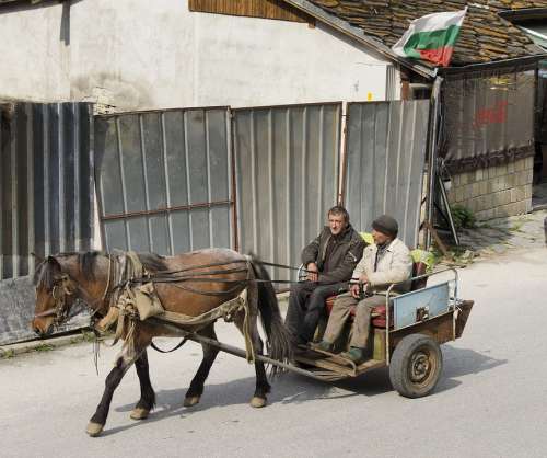 Horse Cart Rural Village Bulgaria Coca Cola