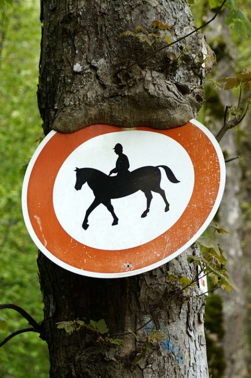Horse Riding Prohibited Tree Horses Prohibited Ride