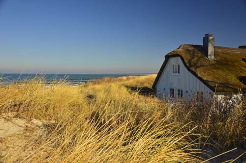House Thatched Cottage Dune Dune Landscape Coast