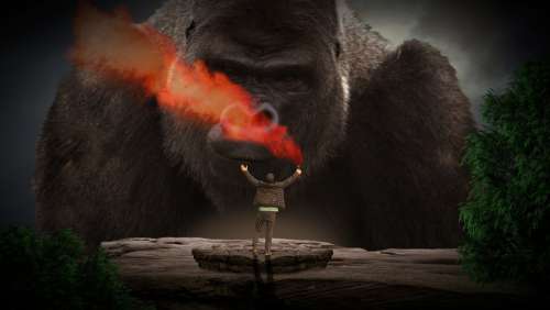 King Kong Gorilla Animal Man Human Jungle Nature