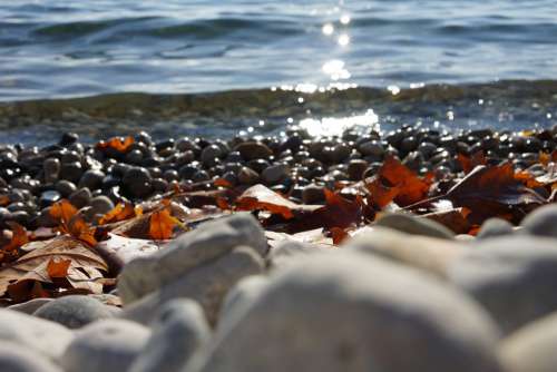 Lake Pebble Leaves Fall Wave Nature Stones Water
