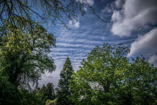 Landscape Sky Clouds Scenic Nature Trees