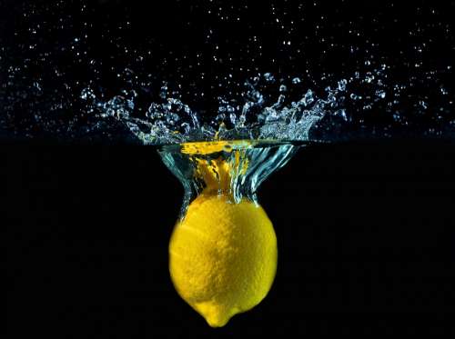 Lemon Water Drops Yellow Detail Fruit Fall Bark