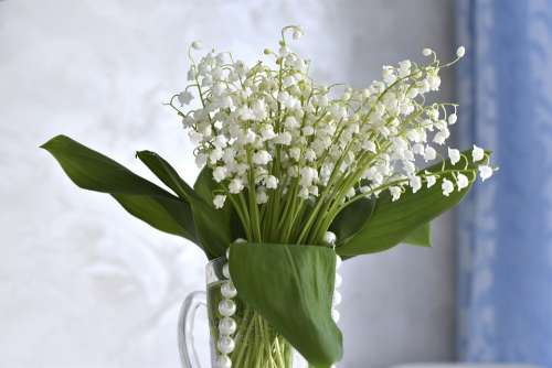 Lilies Of The Valley Flowers Spring Bouquet