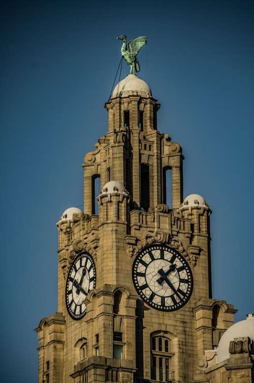 Liverpool Northwest Clock Tower Liver Bird Monument