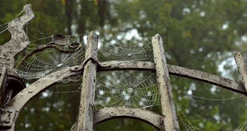 Metal Metal Gate Spider Webs Old Indian Summer