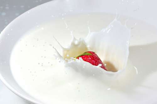 Milk White Food Sweet Drink Eat Strawberry