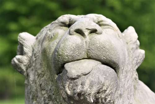 Monument Sculpture Lion Castle Ahrensburg