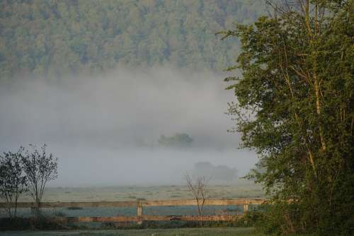 Morgenstimmung Fog Nature Trees Haze Foggy
