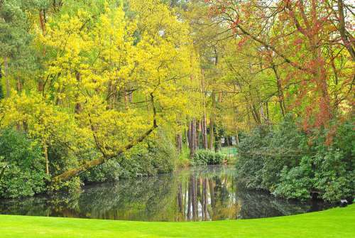 Nature Plant Green Lake Garden Belgium Natural