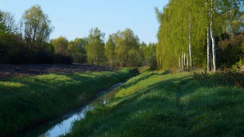 Nature Landscape Ditch Grass Green Tree Water