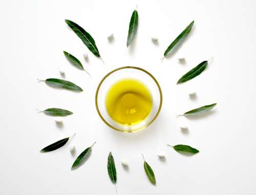 Olive Oil Leaf Plant Eat Food Mediterranean