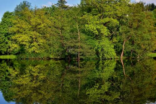 Park Lake Mirroring Landscape Trees Greiz