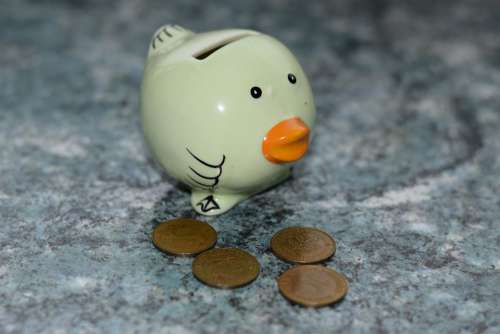 Piggy Bank Money Save Finance Bird Deco Ceramic