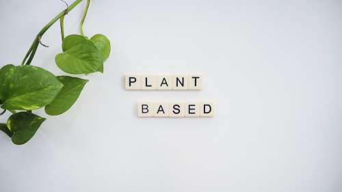 Plant Based Vegan Vegetarian Plant-Based Vegetables