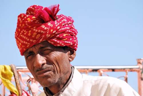 Rajasthan Man Old Wrinkles Elephant Rider Cultural