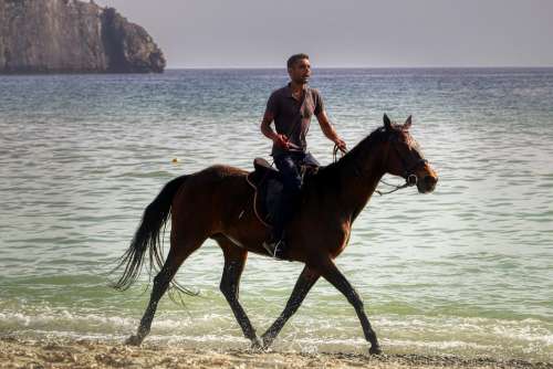 Reiter Horse Animal Nature Landscape Equestrian