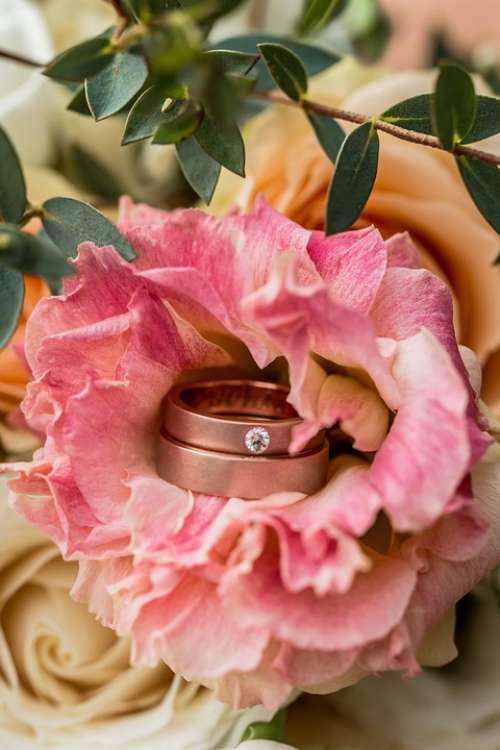 Ring Wedding Jewelry Bride Engagement Love Rings