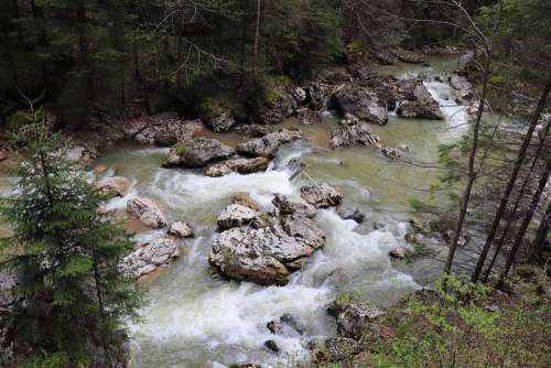 River Rock Pierre Creek Water Mountain Forest