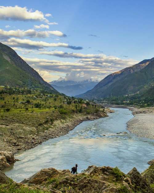 River Indus Pakistan Goat Landscape Travel
