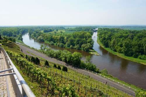 River Confluence Czechia Meadow Vineyard Vltava