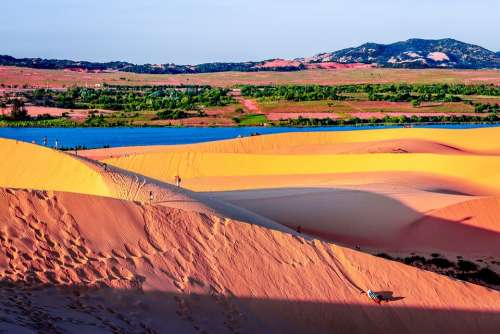 Sand Dunes Sand Dunes Desert Landscape Dry Hot