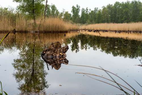 Schwalm Break Lake Water Nature Landscape Sky