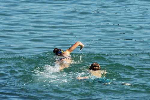 Sea Swimming Rippled Sea Water Ripples Summer