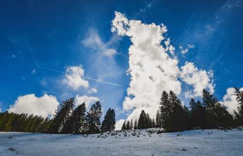 Sky Clouds Landscape Forest Snow Panorama