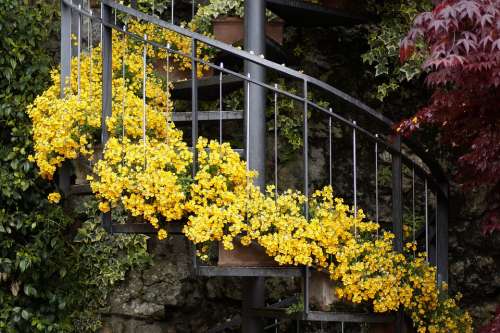 Spiral Staircase Flowers Stairs Flowerpot Nature