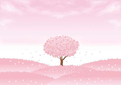 Spring Background Sakura Tree Cherry Tree Sakura