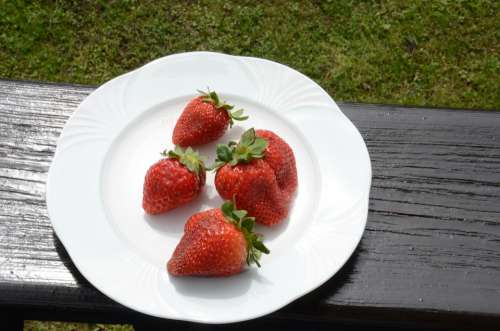 Strawberries Red Fitness Strawberry Plate Nutrition