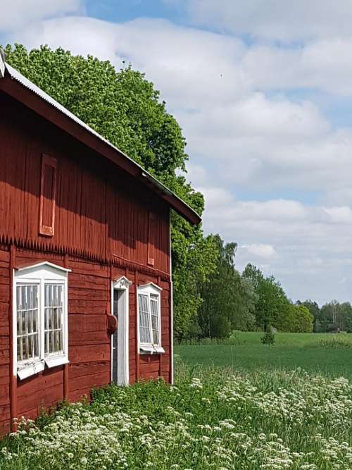 Sweden Barn Summer Idyll Rural Life Bed