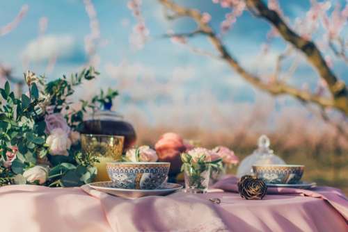 Tea Cup Drink Table Traditional Nature