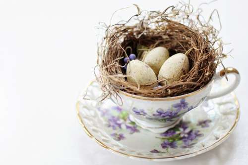 Tea Cup Vintage Tea Cup Bird'S Nest Nest Eggs