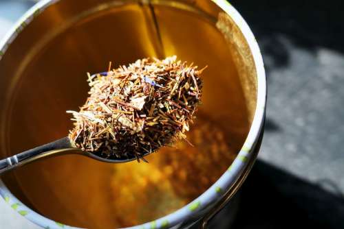 Tee Herbal Tea Drink Herbs Healthy Hot Breakfast