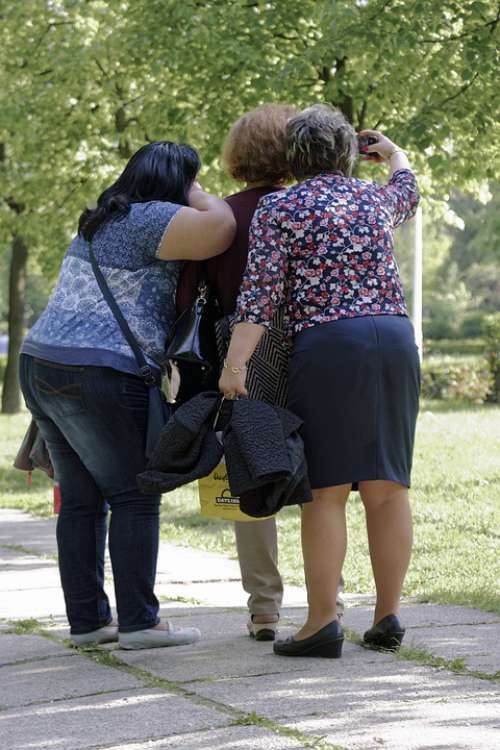 Three Women Fat Taking Pictures Of It Selfie Park