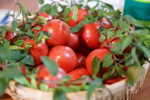 Tomato Food Vegetables Eat Health Red Vitamins