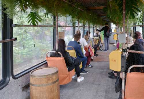 Tram People Transport Public Travel Urban Plants