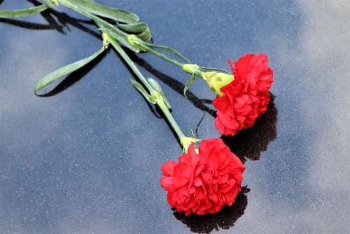 Two Red Carnations Black Marble Symbol Decoration