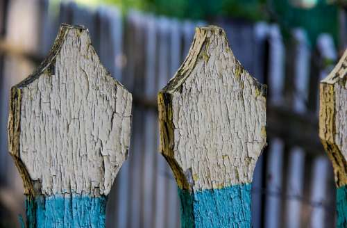 Ukraine Fence Paint Tree Flag