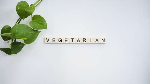 Veg Vegetarian Vegan Fruits