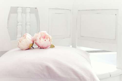 Vintage Flower Room Mood Rose Romanticism