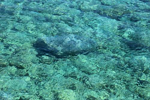 Water Clear Transparent Turquoise Liquid Sea Blue