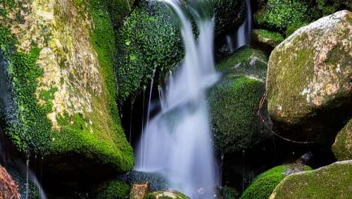 Water Waterfall Mountains Rock Nature Moss