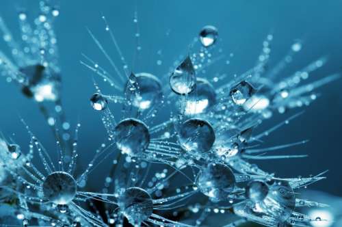 Water Drops Blue Liquid Clear Macro Wet Splash