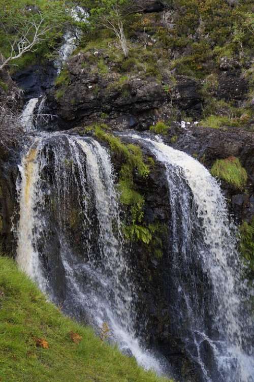 Waterfall Creek Landscape Nature Summer Water