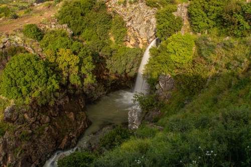 Waterfalls Trees Nature River Environment Waters